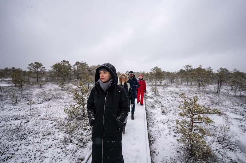 From Tallinn: Day Trip to Lahemaa National Park - Who should book this Lahemaa trip?