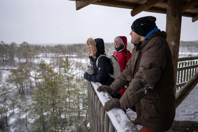 From Tallinn: Day Trip to Lahemaa National Park - Viru bog: the day’s most distinctive walk
