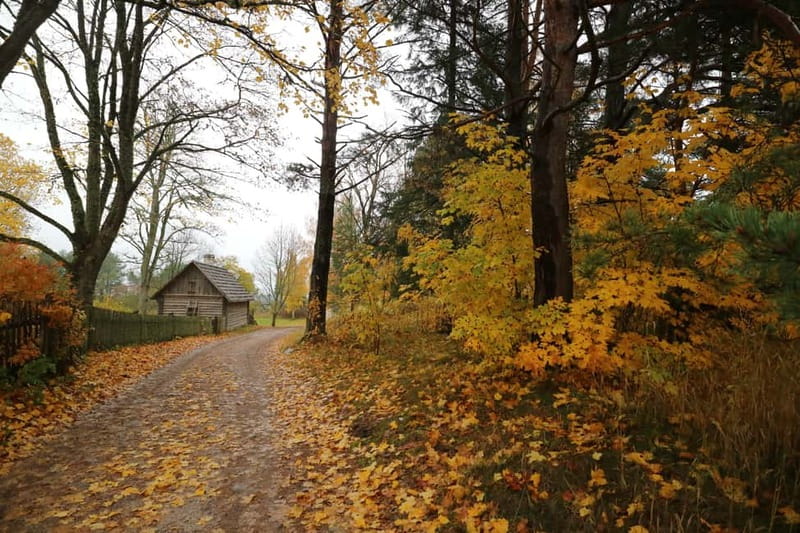 From Tallinn: Day Trip to Lahemaa National Park - Lunch at a local restaurant, with the bill separate