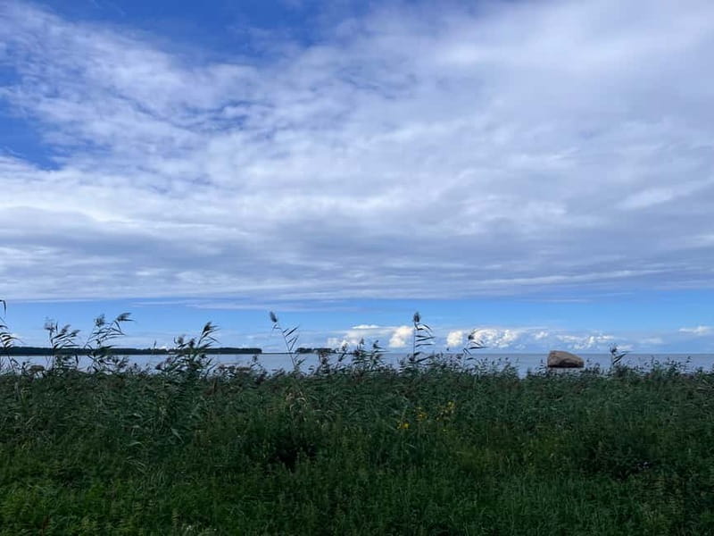 From Tallinn: Lahemaa National Park Day Trip - Walking the Viru Bog trail