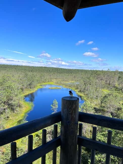 From Tallinn: Lahemaa National Park Day Trip - Käsmu, the captains village
