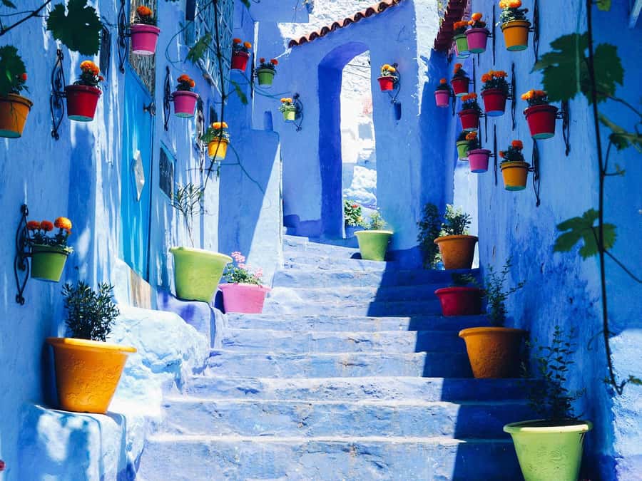 From Tangier: Chefchaouen Guided Full-Day Trip - Is the $73 price fair?