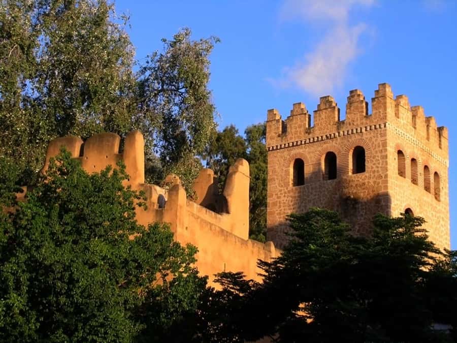 From Tangier: Chefchaouen Guided Full-Day Trip - Lunch, local crafts, and free time