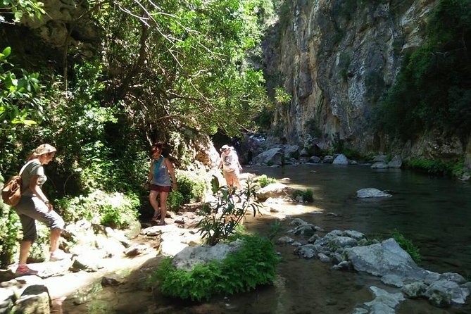 From Tangier: Day Trip to Chefchaouen and Akchour Waterfalls - Akchour: a short walk beside cold mountain water