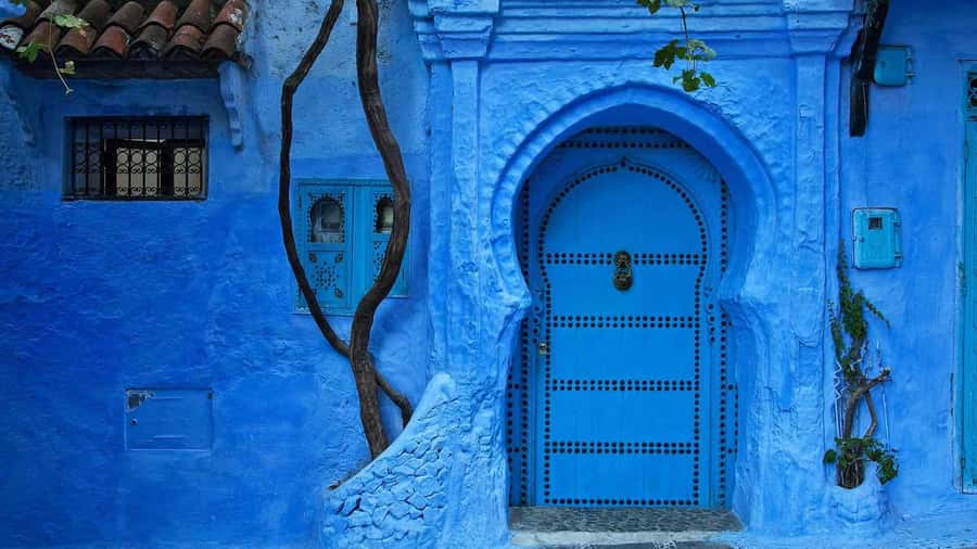 From Tangier: Day Trip to Chefchaouen and Akchour Waterfalls - What the transport and guides add to the price