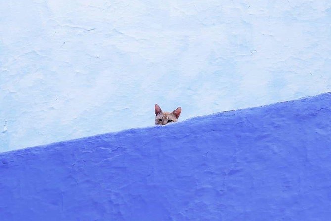 From Tangier: Special Day Trip to Chefchaouen and Tetouan - Leaving Tangier through the Rif foothills