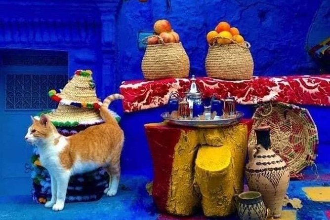 From Tangier: Special Day Trip to Chefchaouen and Tetouan - Chefchaouen: blue walls and a useful local guide