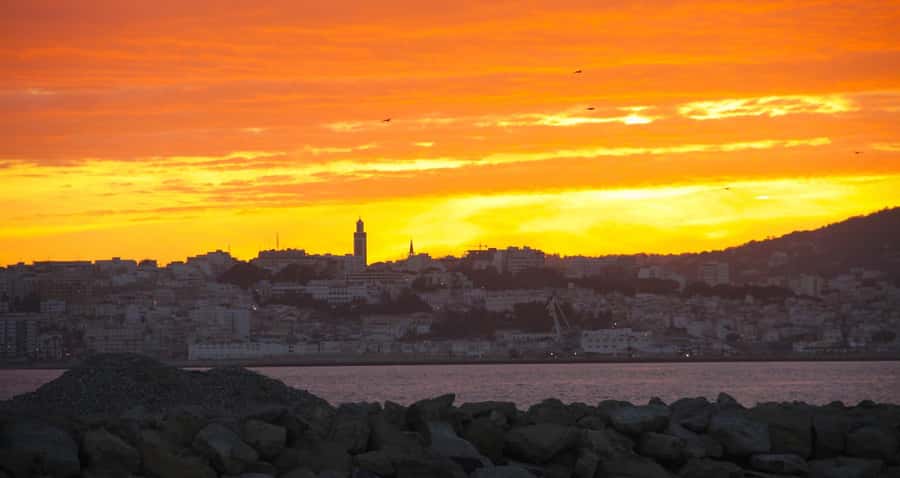 From Tarifa: Tangier Full-Day Trip with Lunch - The camel ride: fun, brief, and optional