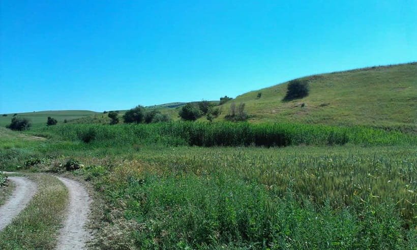 From Tashkent: Chimgan Valley Hiking Day Trip - Key points to know before you go