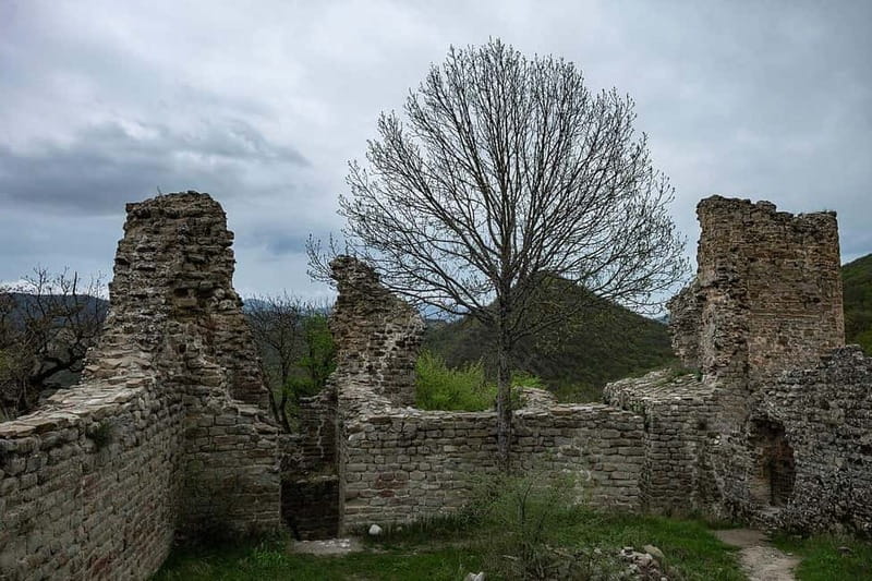 From Tbilisi: Bodbe, Sighnaghi and Telavi Day Trip - Why this Kakheti day trip is good value