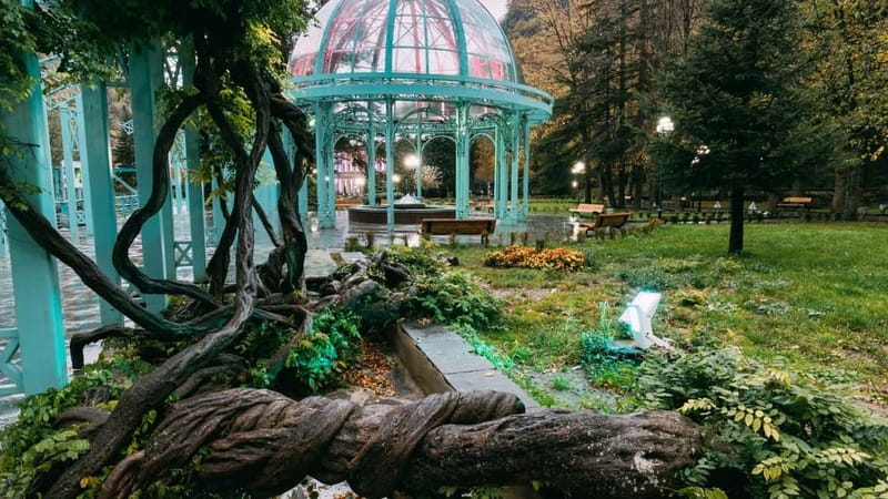 From Tbilisi: Borjomi, Rabati, and Vardzia Guided Day Trip - Five details to know before you book