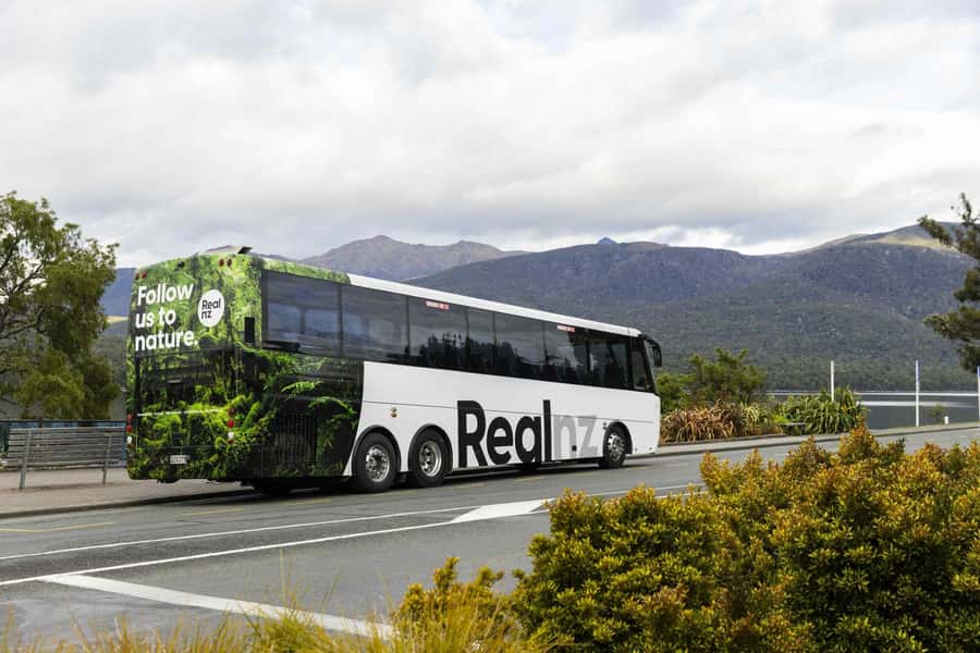 From Te Anau: Milford Sound Cruise and Coach Day Trip - Is $136 good value?