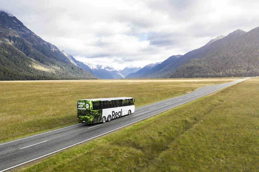 From Te Anau: Milford Sound Cruise and Coach Day Trip - Why the Milford Road deserves your attention