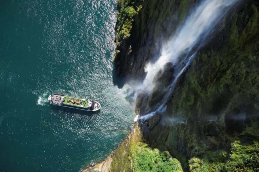 From Te Anau: Milford Sound Cruise and Coach Day Trip - Waterfalls, cliffs, seals, dolphins, and penguins