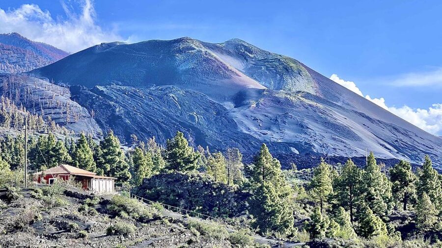 From Tenerife: Day Trip to La Palma Volcanic Landscapes - El Paso, lunch, and the final island hour