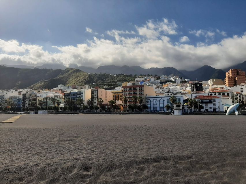 From Tenerife: Day Trip to La Palma Volcanic Landscapes - Who will enjoy this excursion most?