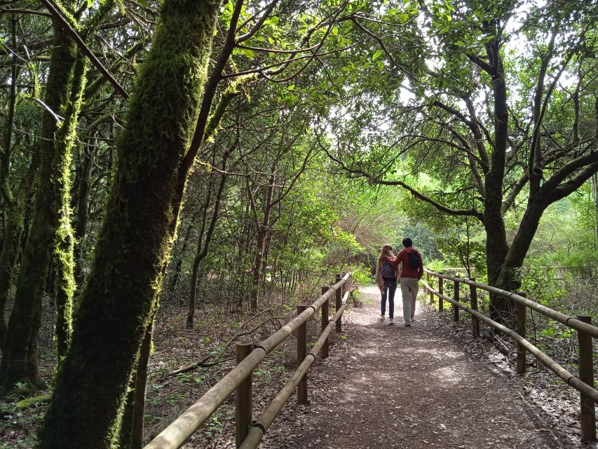 From Tenerife: La Gomera Day Trip with Guide - Who should book this La Gomera excursion?