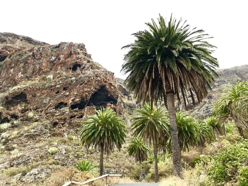 From Tenerife South: La Gomera Full-Day Trip with Transfers - Walking through Garajonay’s Laurisilva forest