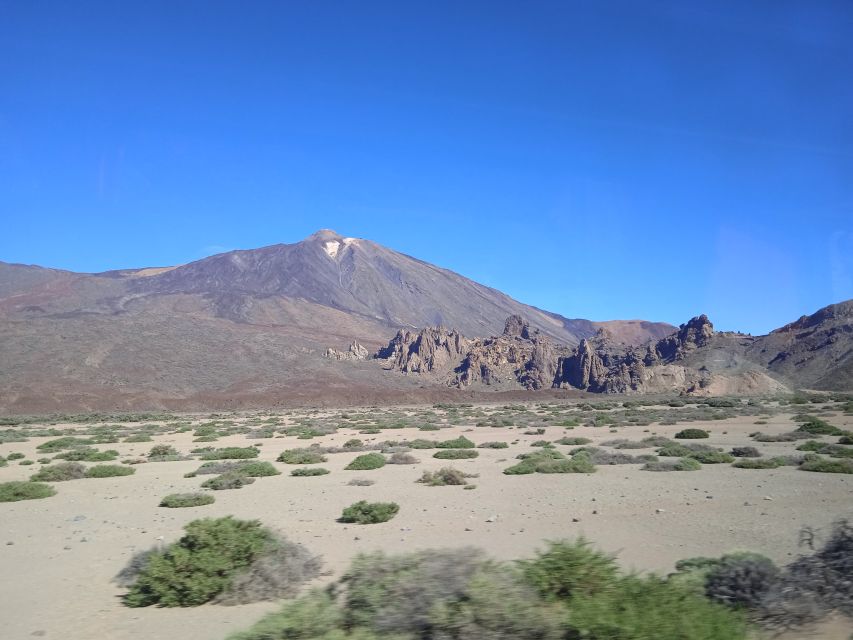 From Tenerife: Teide National Park Guided Day Trip by Bus - Key points to know before booking
