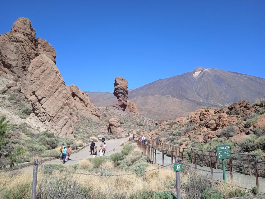 From Tenerife: Teide National Park Guided Day Trip by Bus - Leaving south Tenerife for the high country