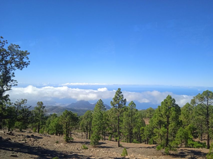 From Tenerife: Teide National Park Guided Day Trip by Bus - Teide’s lava formations and lunar-looking terrain