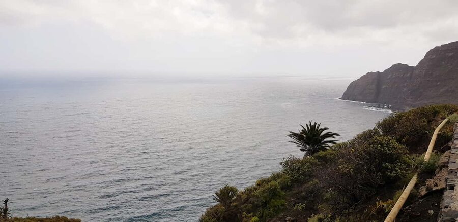 From the south of Tenerife: La Gomera full-day trip - Walking into Garajonay National Park