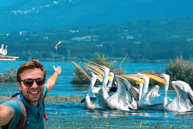 From Thessaloniki: Private Day Trip to Kerkini Lake - Key points to know before booking
