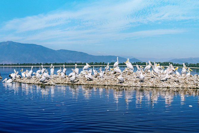 From Thessaloniki: Private Day Trip to Kerkini Lake - Coffee, countryside, and the buffalo stop