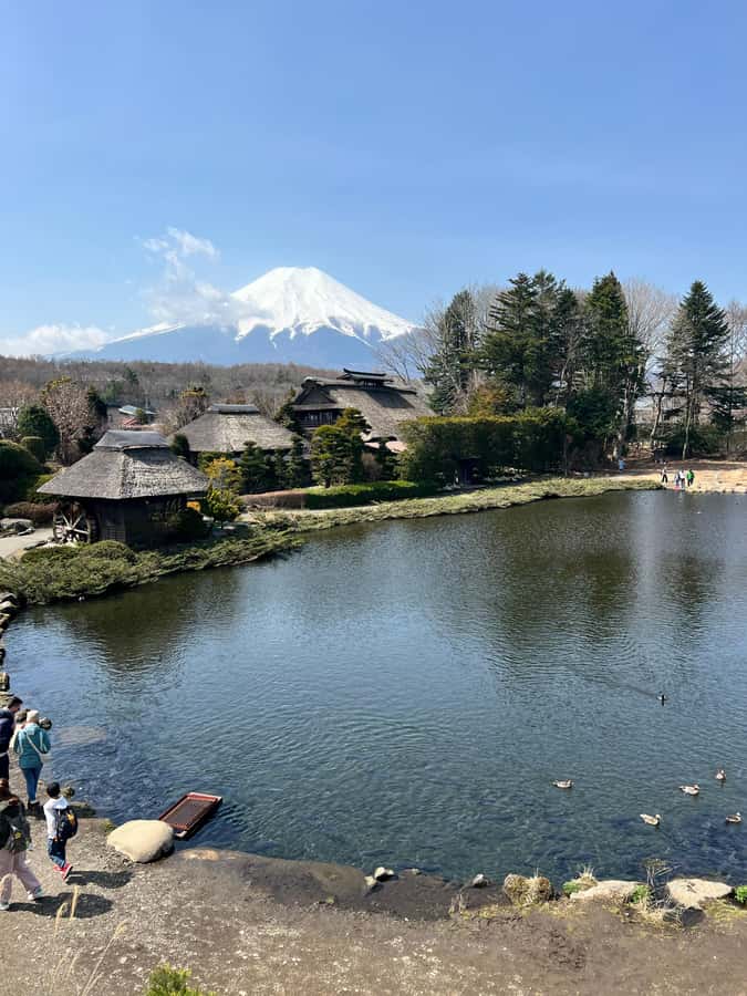 From Tokyo: Mount Fuji and Hakone Private Day Trip - Lake Ashi, pirate ships, and the ropeway choice