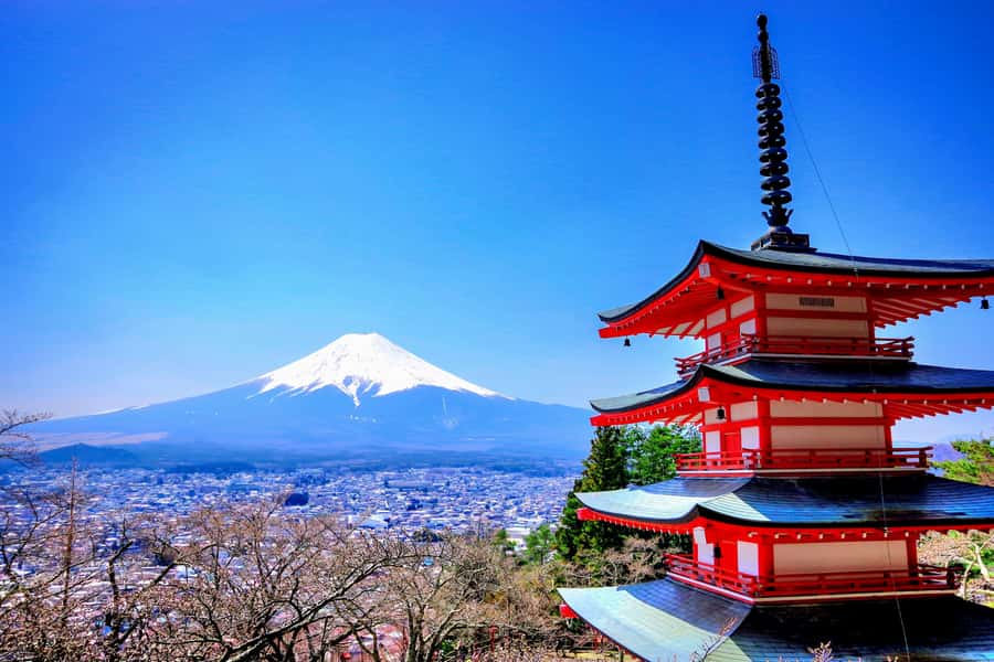 From Tokyo: Mount Fuji and Hakone Private Day Trip - Why a private vehicle helps on a Fuji and Hakone day
