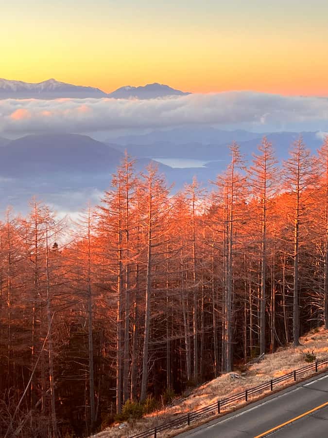 From Tokyo: Mount Fuji and Hakone Private Day Trip - Subaru 5th Station at 2,300 meters