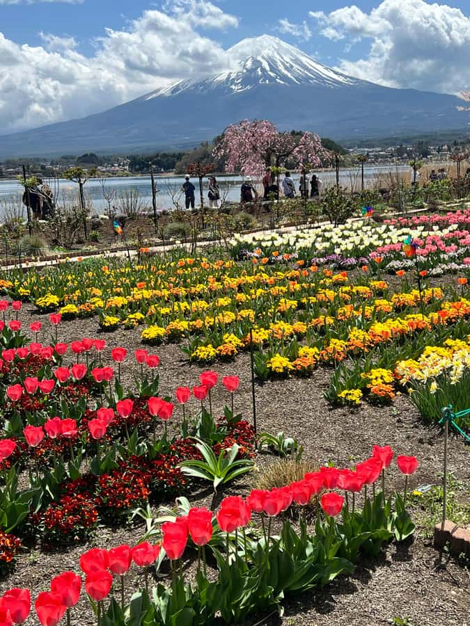 From Tokyo: Mount Fuji and Hakone Private Day Trip - Chureito Pagoda and Fujiyoshida’s classic view