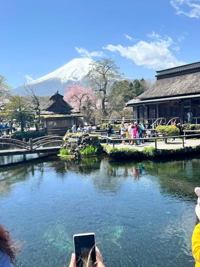 From Tokyo: Mount Fuji and Hakone Private Day Trip - Fuji Sengen Shrine and the cedar-lined approach