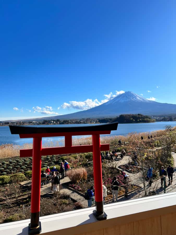 From Tokyo: Mount Fuji and Hakone Private Day Trip - Oshino Hakkai and the clear mountain springs
