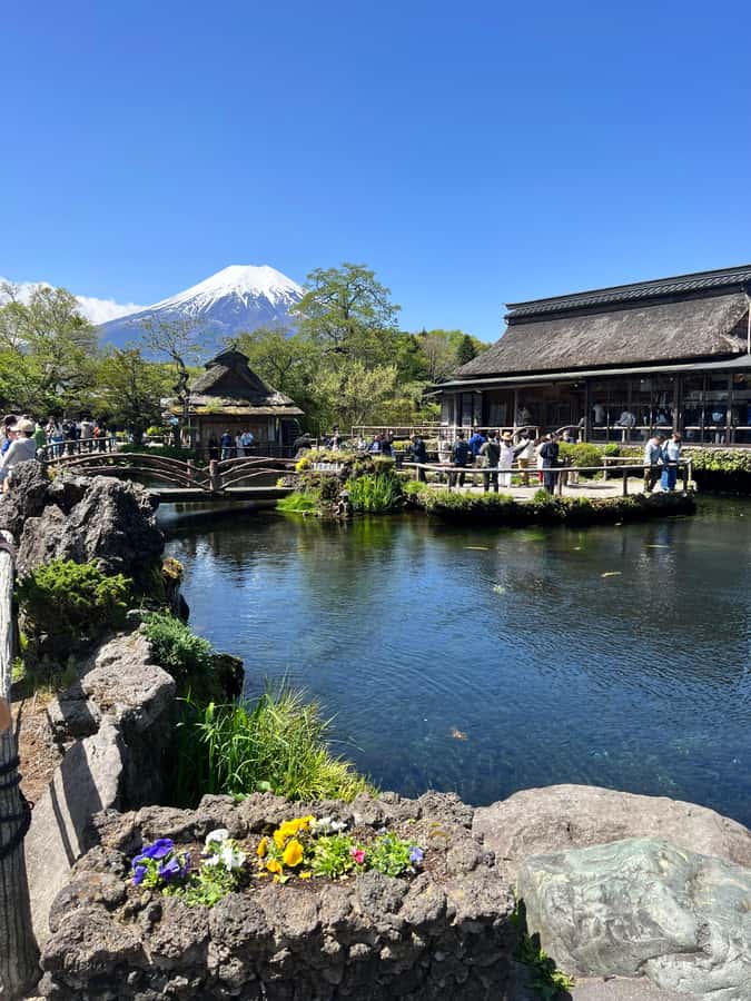 From Tokyo: Mount Fuji and Hakone Private Day Trip - Hakone Open Air Museum for art and fresh air