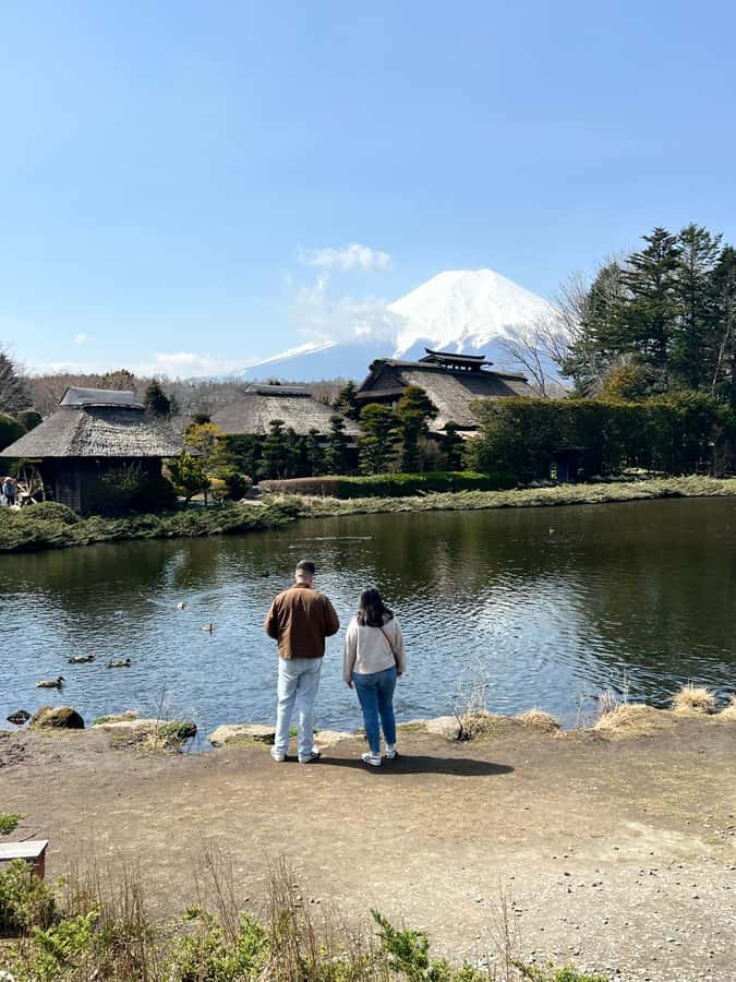 From Tokyo: Mount Fuji and Hakone Private Day Trip - Owakudani’s sulfur valleys and black eggs
