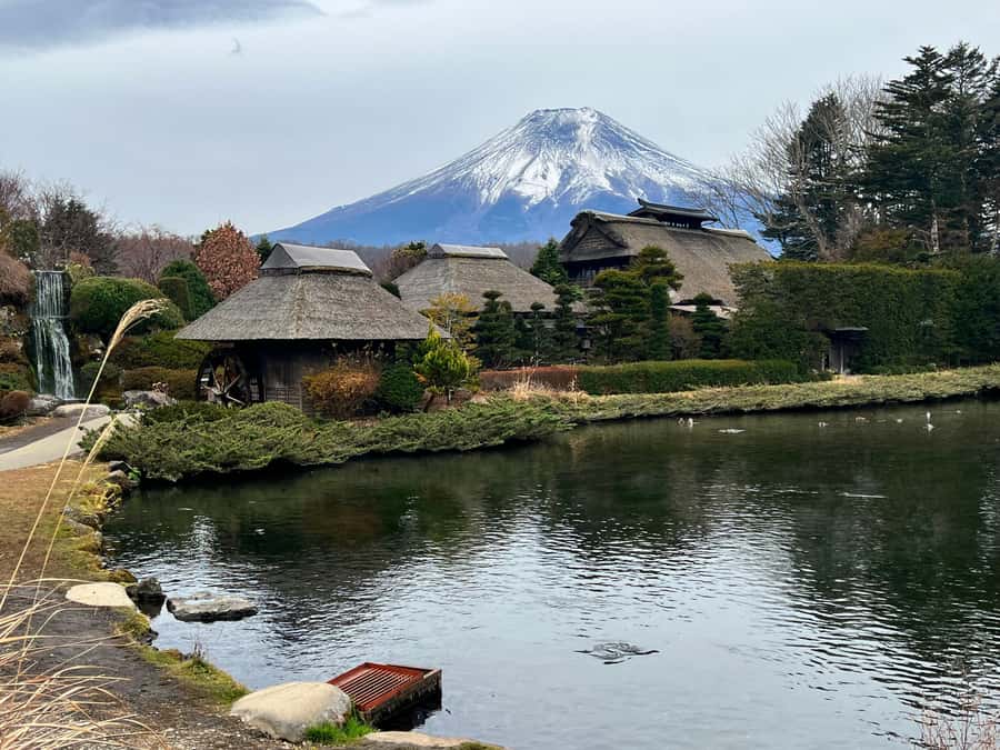 From Tokyo: Mount Fuji and Hakone Private Day Trip - Mount Fuji views depend on clouds, not effort