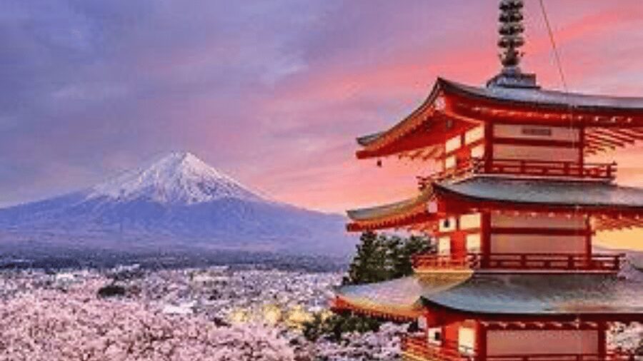 From Tokyo: Mount Fuji And Hakone Private Full Day Trip - What this private Fuji day trip is really offering