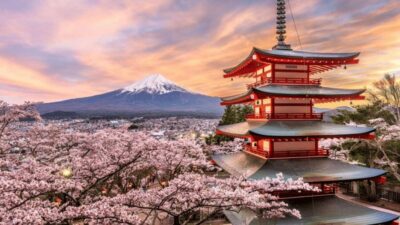 Mount Fuji And Hakone Private Full Day Trip