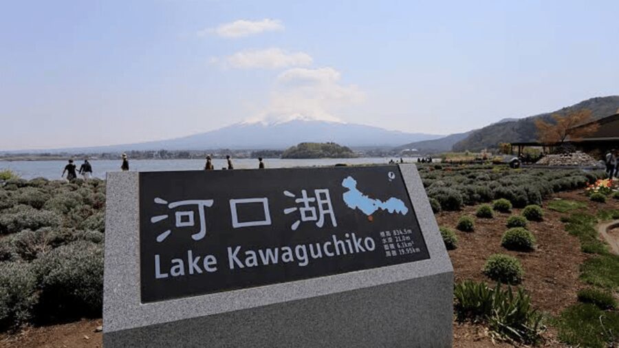 From Tokyo: Mount Fuji And Hakone Private Full Day Trip - Chureito Pagoda and the classic Fuji photograph