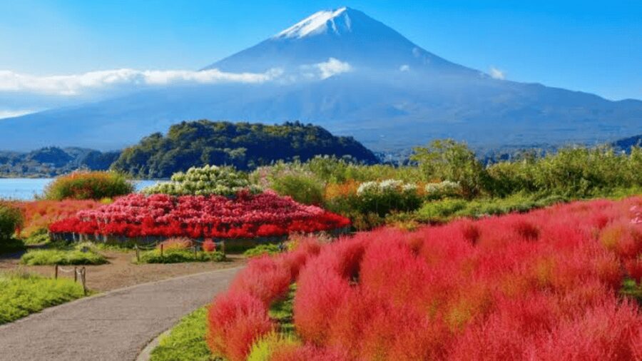 From Tokyo: Mount Fuji And Hakone Private Full Day Trip - Oshino Hakkai and the quieter side of the region