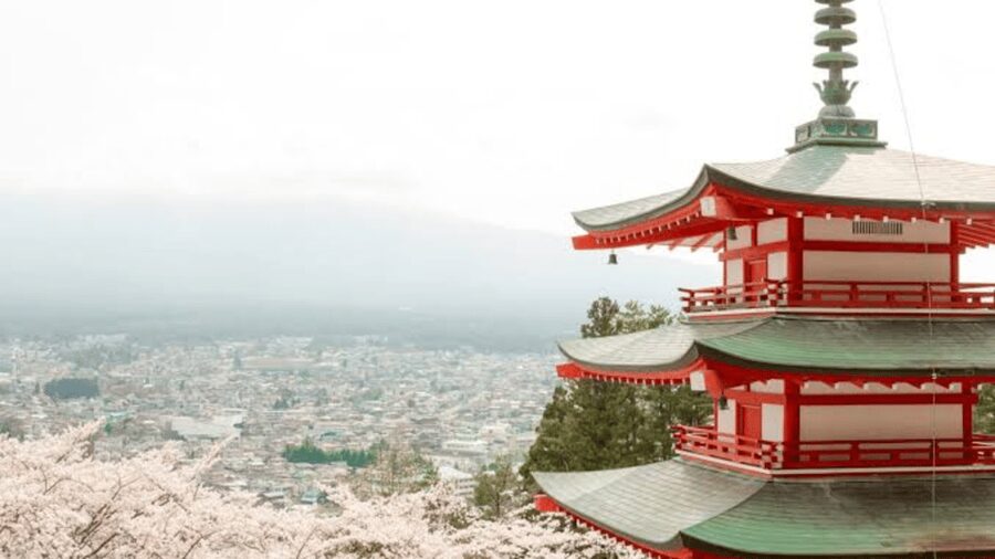 From Tokyo: Mount Fuji And Hakone Private Full Day Trip - Lake Kawaguchi, Kachi Kachi Ropeway, and Oishi Park