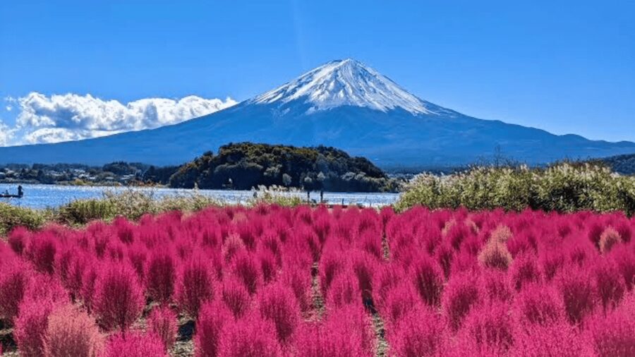 From Tokyo: Mount Fuji And Hakone Private Full Day Trip - Why the private format can be worth the price