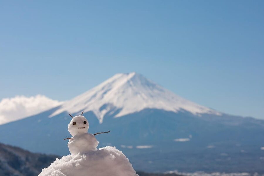 From Tokyo: Mount Fuji Customizable Private Day Tour - Why a private Fuji day trip makes sense
