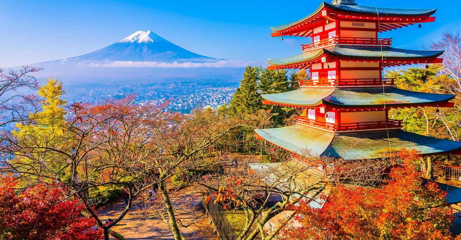 From Tokyo: Mount Fuji Customizable Private Day Tour - Oshino Hakkai and Fuji spring water
