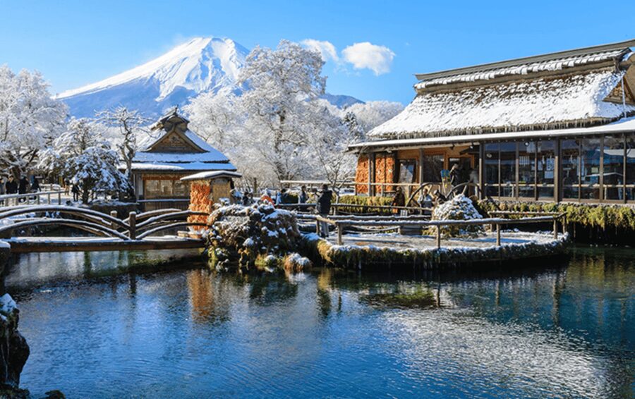 From Tokyo: Mount Fuji Customizable Private Day Tour - Kitaguchi-hongu Fuji Sengen Shrine