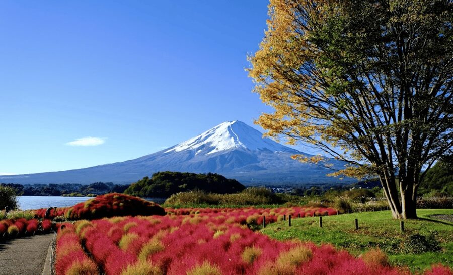 From Tokyo:Mount Fuji&Hakone Customize Full Day Private Tour - Key points at a glance