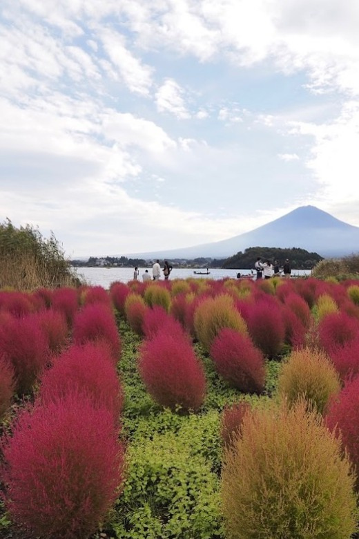 From Tokyo:Mount Fuji&Hakone Customize Full Day Private Tour - The vehicle, driver, and comfort level