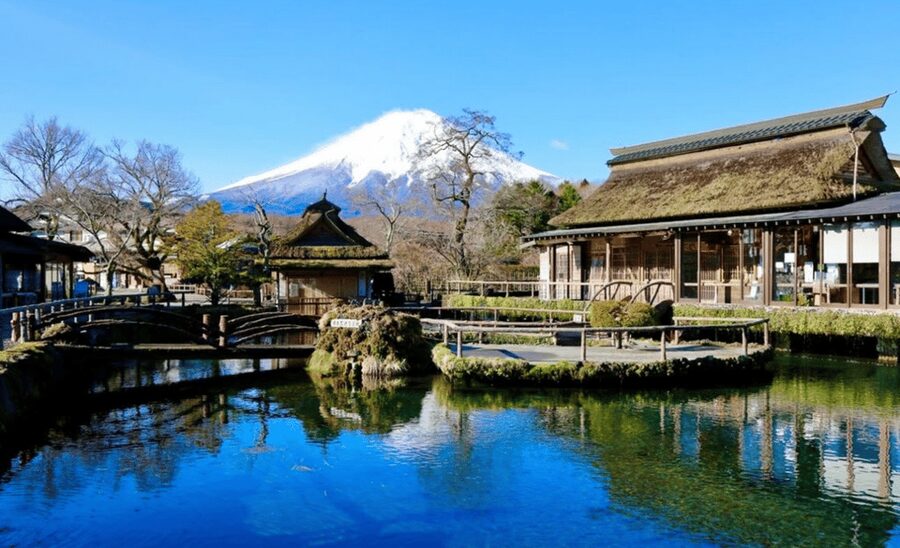 From Tokyo:Mount Fuji&Hakone Customize Full Day Private Tour - Arakurayama Sengen Park: the famous pagoda view