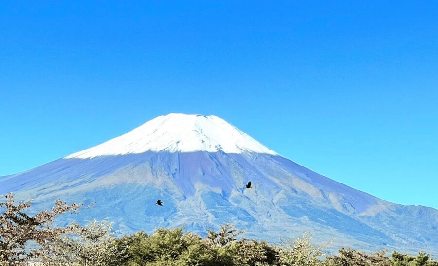 From Tokyo:Mount Fuji&Hakone Customize Full Day Private Tour - Kitaguchi-hongu Fuji Sengen Shrine: a change of pace